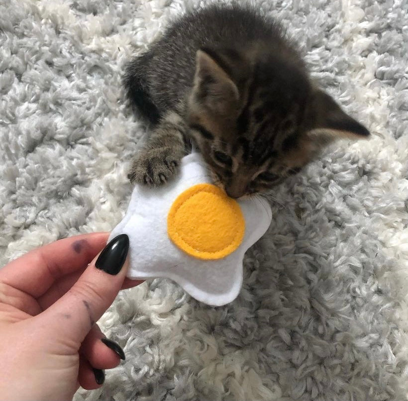 Egg Catnip Toy