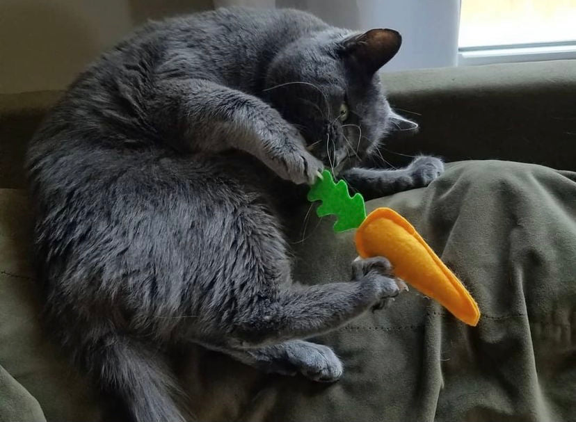 Carrot Catnip Toy