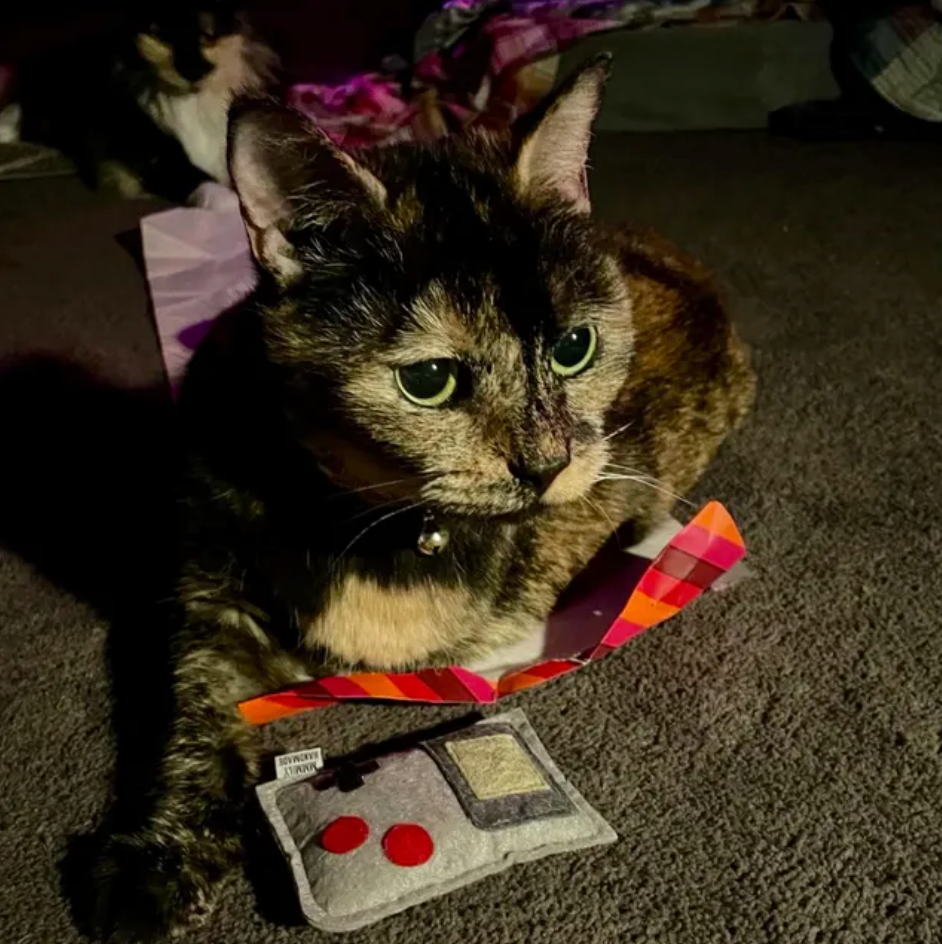 Gameboy Catnip Toy