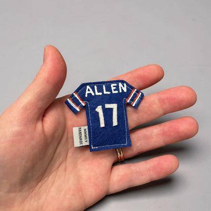 Buffalo Bills Magnets