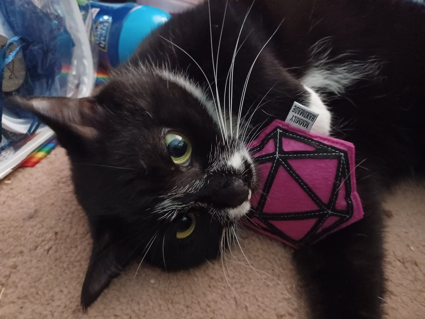 D20 Catnip Toy