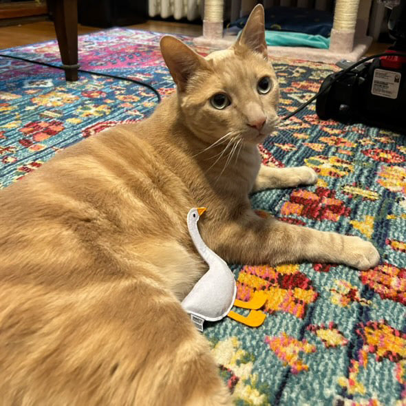 Silly Goose Catnip Toy