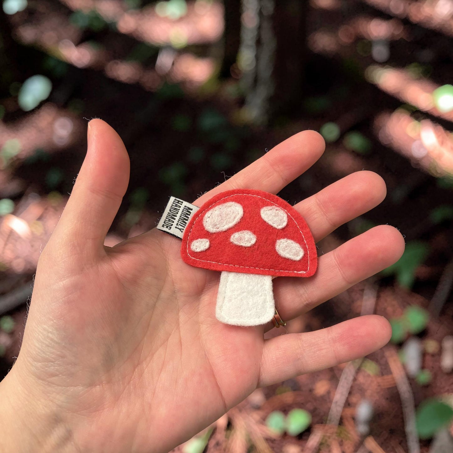 Fruit & Veggie Magnets