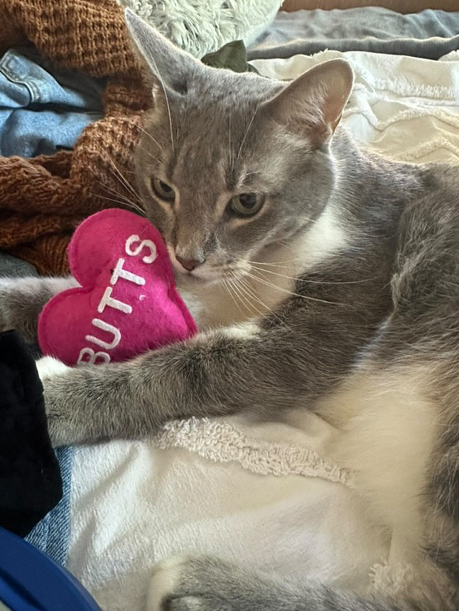 I <3 Butts Catnip Toy