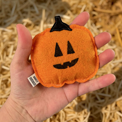 Pumpkin Catnip Toy