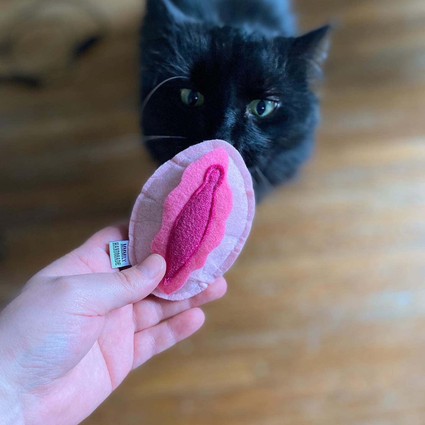 Vulva Catnip Toy