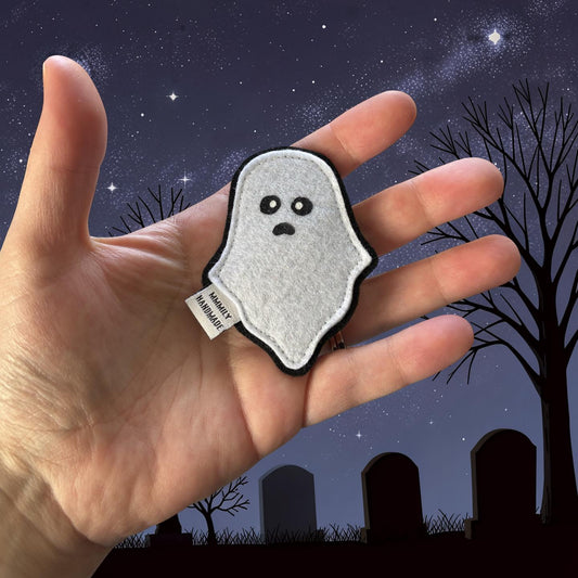 Ghost Magnets