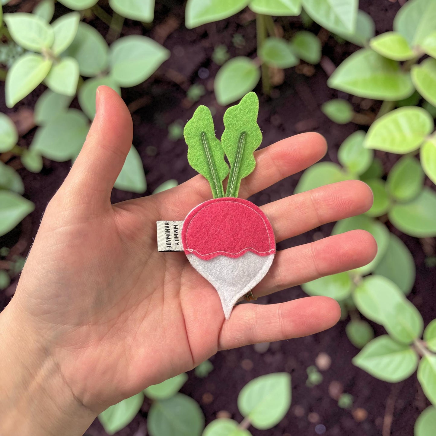 Fruit & Veggie Magnets