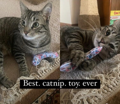 Dicknip Toy
