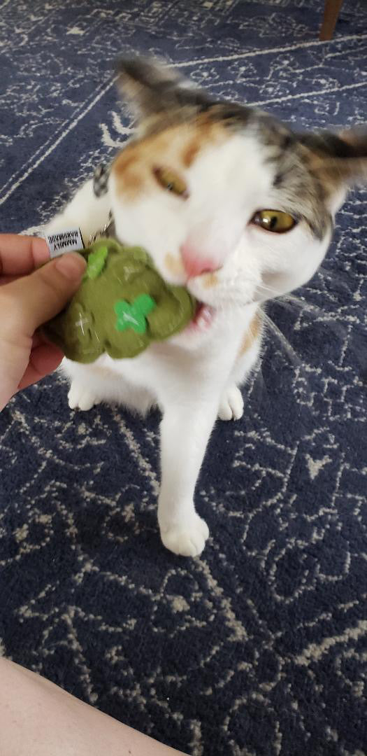 Weed Nug Catnip Toy