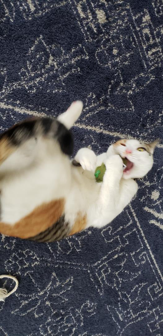 Weed Nug Catnip Toy