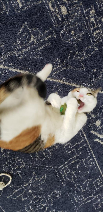 Weed Nug Catnip Toy