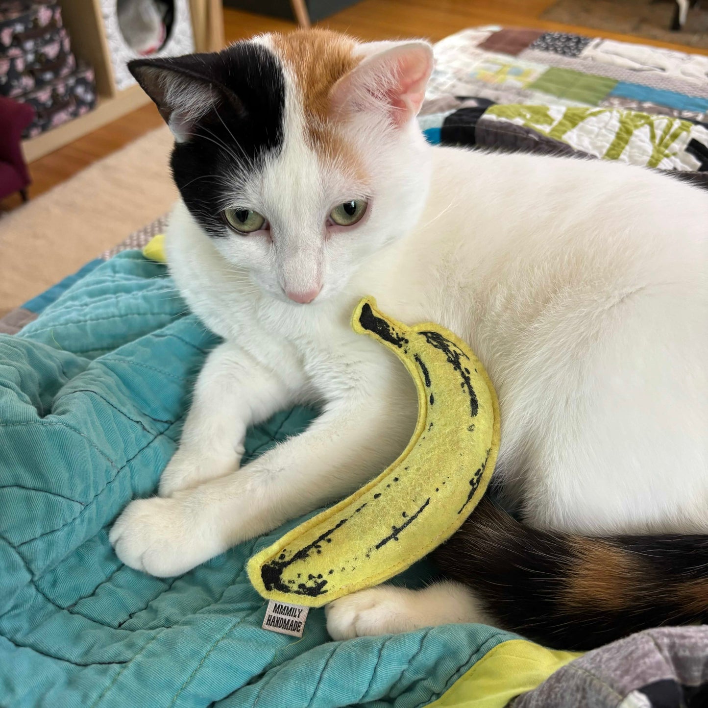 Banana Catnip Toy
