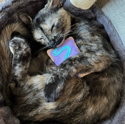 Poptart Catnip Toy