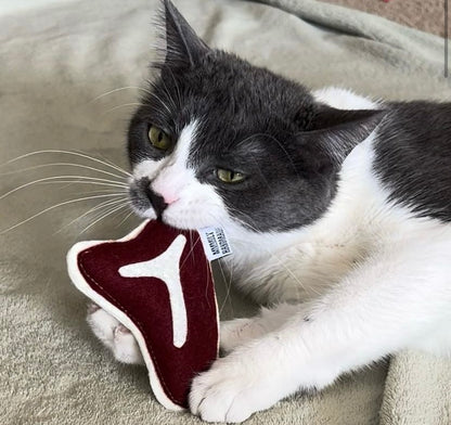 Steak Catnip Toy