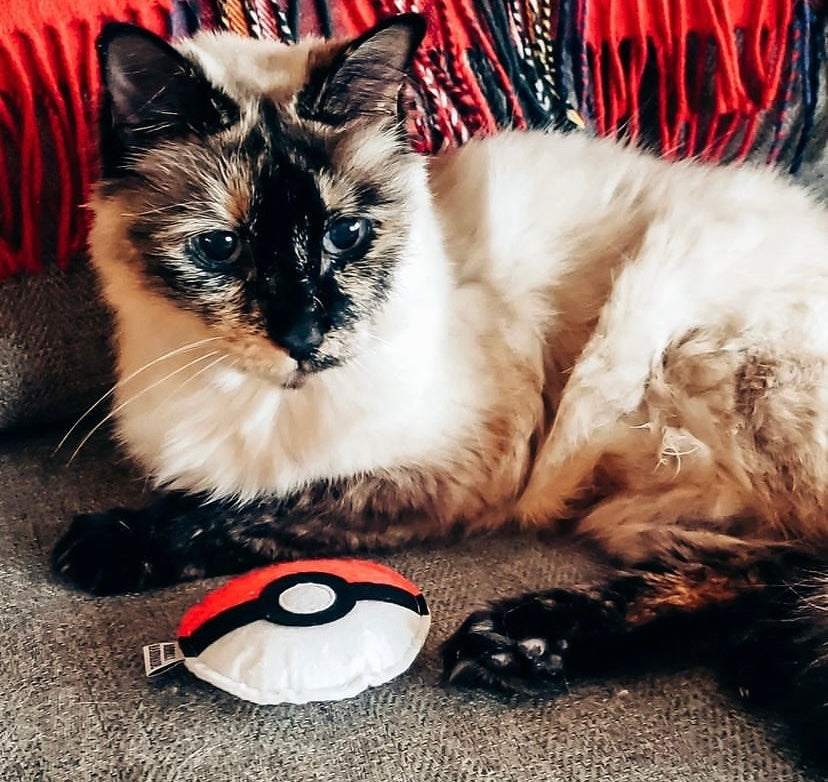 Pokeball Catnip Toy