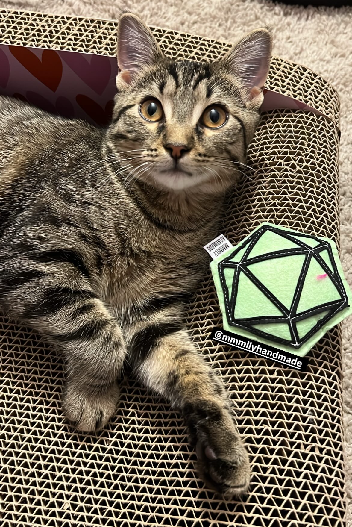 D20 Catnip Toy