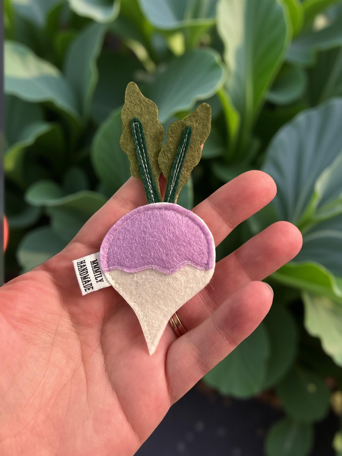 Fruit & Veggie Magnets