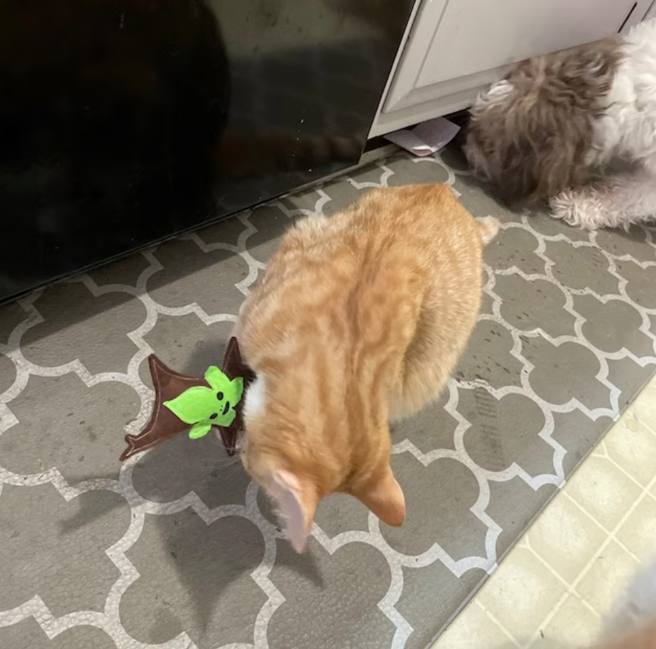 Korok Catnip Toy