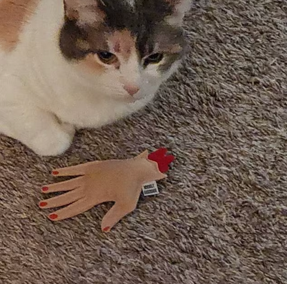 Severed Hand Catnip Toy
