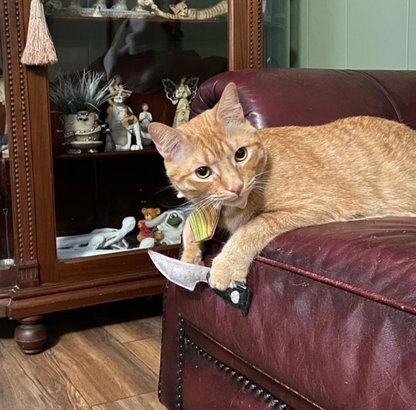 Knife Catnip Toy
