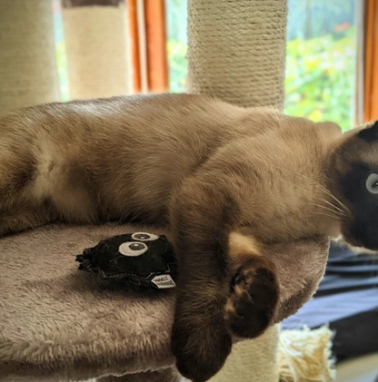 Soot Sprite Catnip Toy