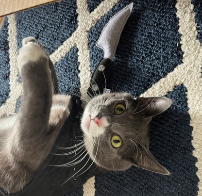 Knife Catnip Toy