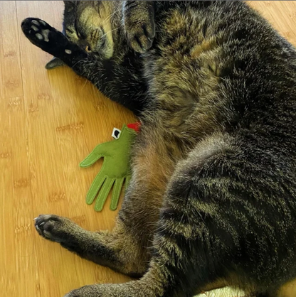 Severed Hand Catnip Toy