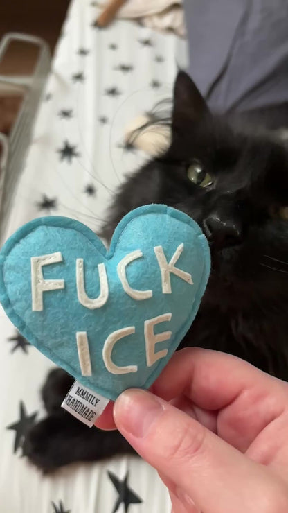 FUCK ICE Catnip Toy